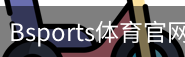 Bsports体育官网首页